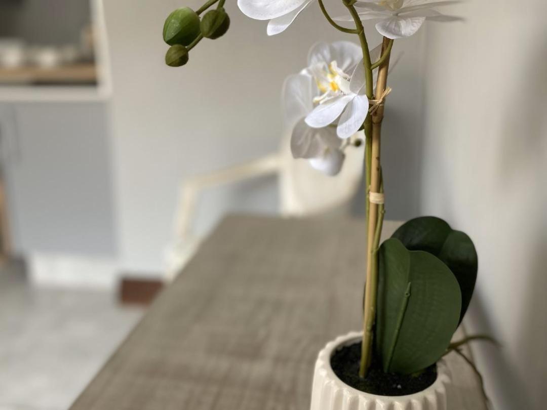 Staysure Guesthouse 알버톤 외부 사진